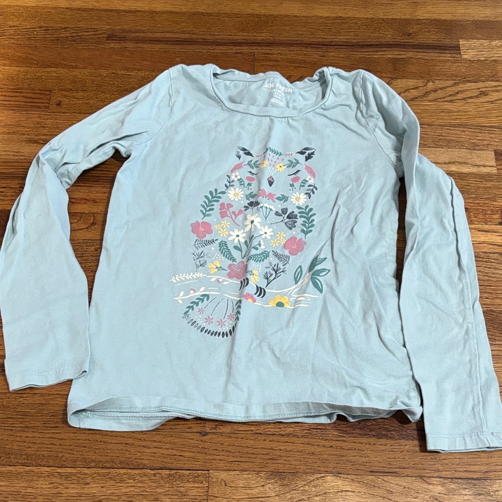 Joe Fresh girls size L 10-12 long sleeve blue shirt with owl graphic